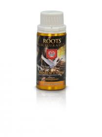 House & Garden Roots Excelurator - 100 mL